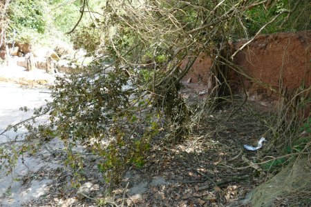 Estat actual de la resclosa del Molí del Sors.