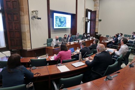 Adrià Ramírez Parlament