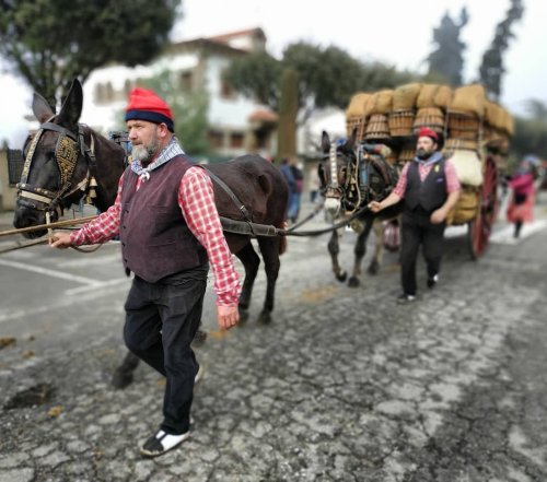 Foto guanyadora Instagram Tonis 2020 _ Ràdio Taradell