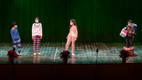 Pastorets Pinediques