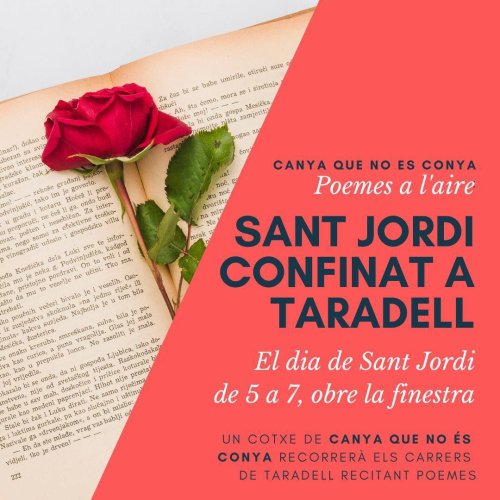 Canya que no és conya Sant Jordi