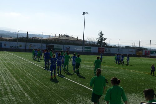 Triangular-Futfem-30.jpg