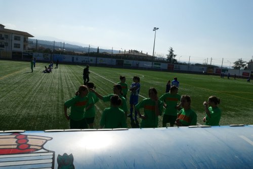 Triangular-Futfem-37.jpg