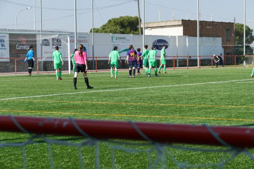Triangular-Futfem-43.jpg