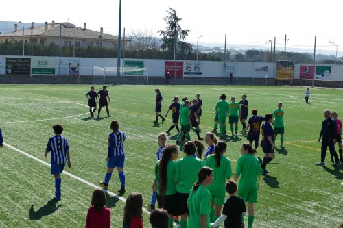Triangular-Futfem-85.jpg