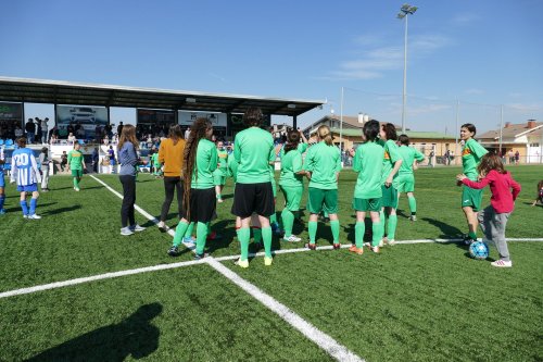 Triangular-Futfem-88.jpg