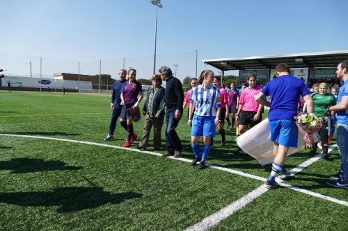 Triangular-Futfem-95.jpg