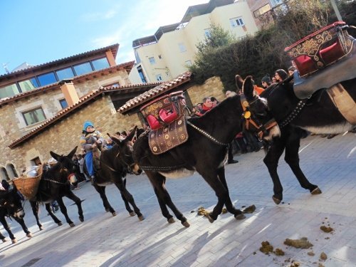 tonis-diumenge2015-104-500x375.jpg