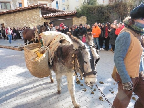 tonis-diumenge2015-105-500x375.jpg