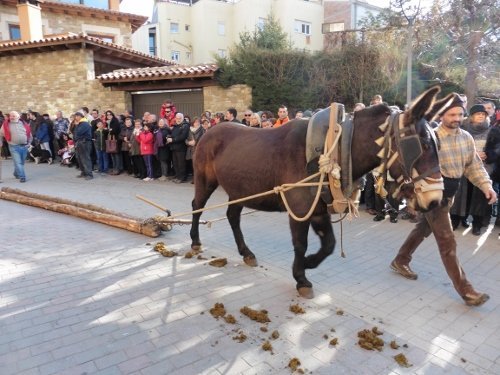 tonis-diumenge2015-106-500x375.jpg