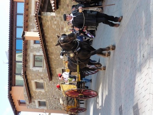 tonis-diumenge2015-110-500x375.jpg