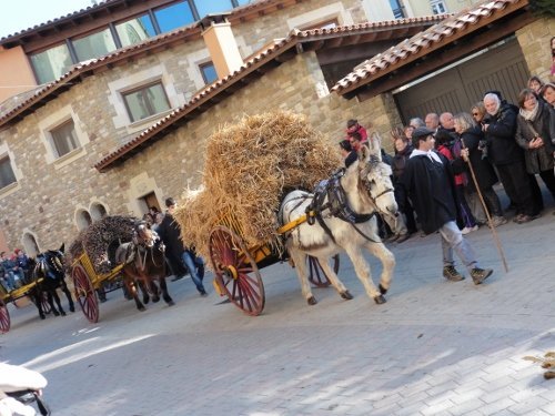 tonis-diumenge2015-115-500x375.jpg