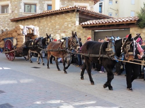 tonis-diumenge2015-119-500x375.jpg