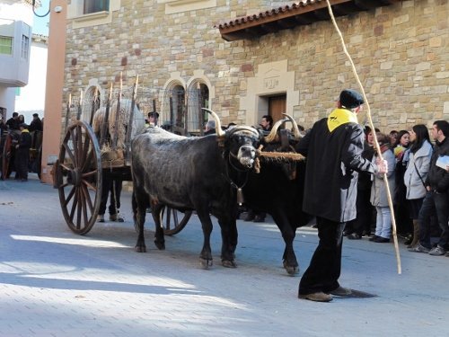 tonis-diumenge2015-120-500x375.jpg