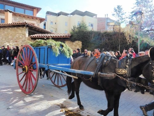 tonis-diumenge2015-128-500x375.jpg