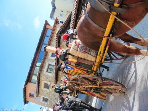 tonis-diumenge2015-136-500x375.jpg