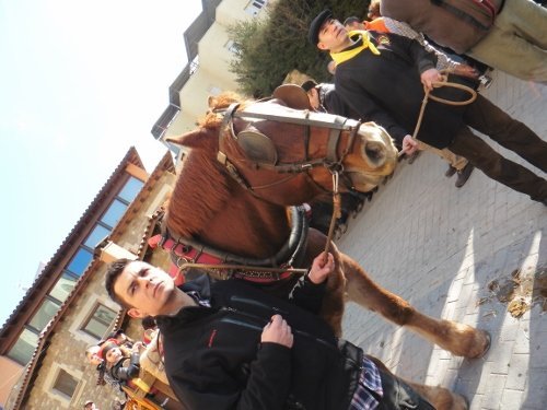 tonis-diumenge2015-137-500x375.jpg