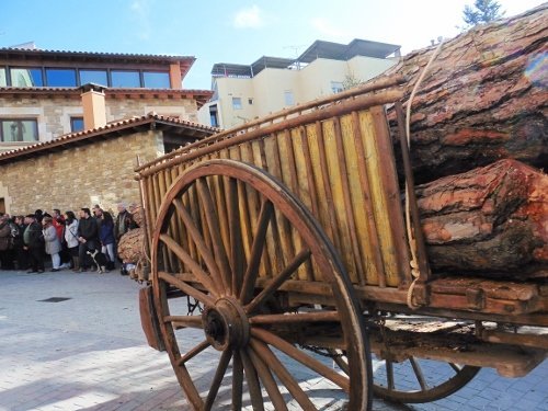 tonis-diumenge2015-142-500x375.jpg