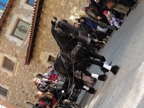 tonis-diumenge2015-146-500x375.jpg