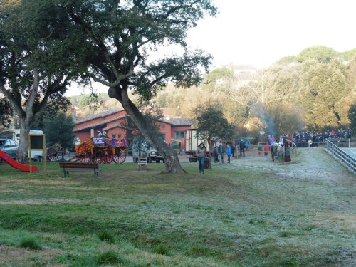 tonis-diumenge2015-9.jpg