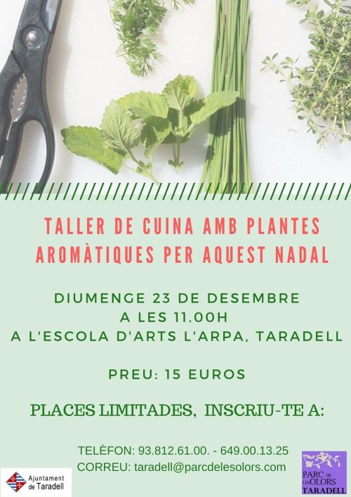 Taller de cuina amb plantes aromàtiques aquest Nadal - Parc de les Olors Taller de cuina amb plantes aromàtiques aquest Nadal - Parc de les Olors