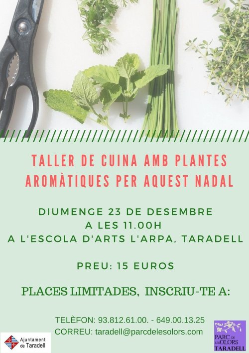 Taller de cuina amb plantes aromàtiques aquest Nadal - Parc de les Olors