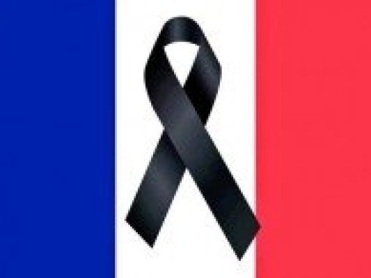 Condol i solidaritat al poble francès Condol i solidaritat al poble francès
