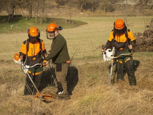 Obertes les preinscripcions del PFI-PTT d’Auxiliar d’Activitats Forestals per al curs 2025-2026 Obertes les preinscripcions del PFI-PTT d’Auxiliar d’Activitats Forestals per al curs 2025-2026