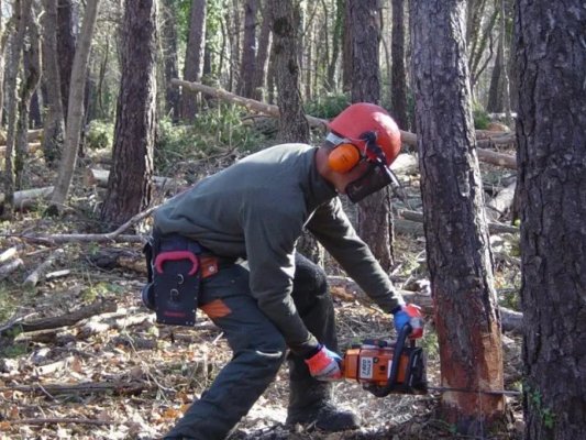 La Mancomunitat engega un programa de formació i inserció d’activitats forestals