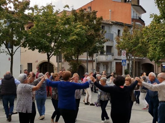 Aquest cap de setmana, primeres castanyades a Taradell Aquest cap de setmana, primeres castanyades a Taradell