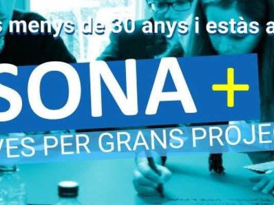 Es busquen 20 joves osonencs aturats per un projecte empresarial d’impacte Es busquen 20 joves osonencs aturats per un projecte empresarial d’impacte