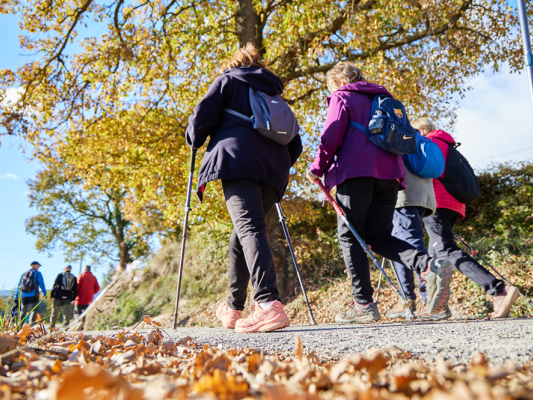 Camina a la tardor +60: sis rutes per gaudir de la natura, fer salut i compartir bons moments Camina a la tardor +60: sis rutes per gaudir de la natura, fer salut i compartir bons moments