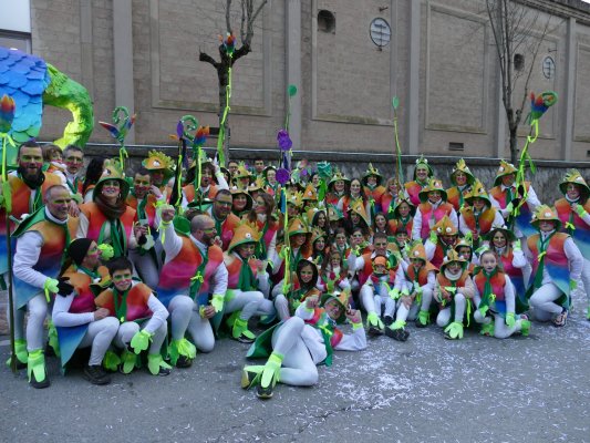 Un trofeu i més premis per a les carrosses i comparses del Carnaval de Taradell