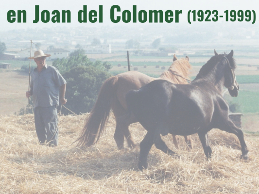 La Biblioteca i els Tonis commemoren el centenari d'en Joan del Colomer