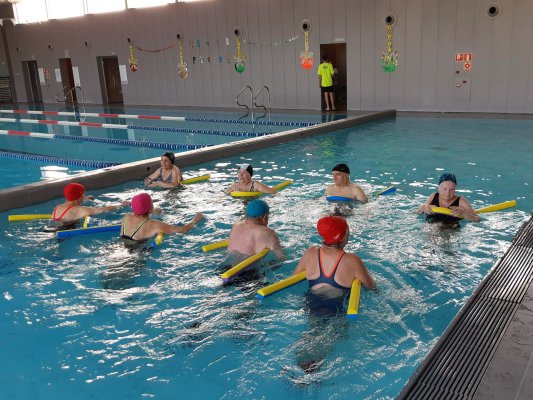 Finalitza els curs d'aiguagim amb la participació de 18 persones