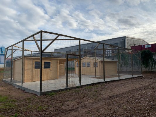 Taradell aprova un programa per al control i la gestió ètica de les colònies felines Taradell aprova un programa per al control i la gestió ètica de les colònies felines