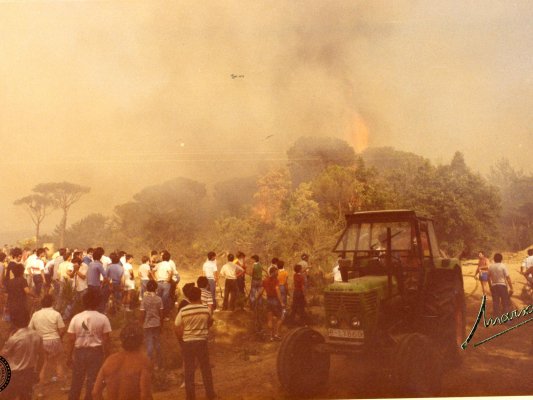 36 anys del gran incendi de Taradell