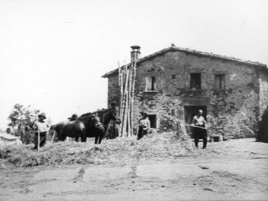 La Regidoria de Cultura impulsa tres rutes per descobrir la riquesa cultural i natural de Taradell