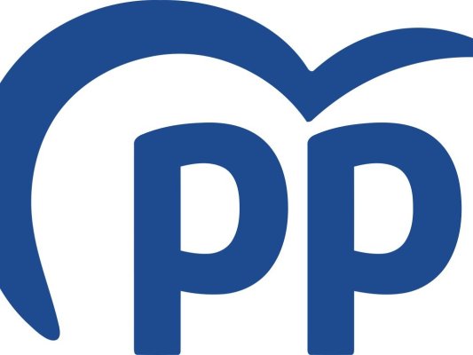 El PP es presentarà a les eleccions municipals