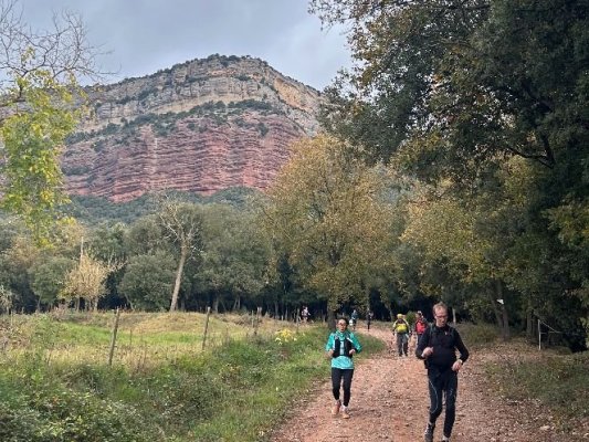 Més de 1.000 caminadors confirmen l’èxit d’una Rupit–Taradell que no s’atura