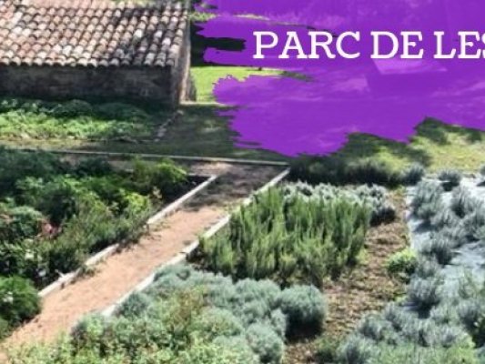 Vine a gaudir d'un nou taller que ofereix el Parc de les Olors aquest diumenge.