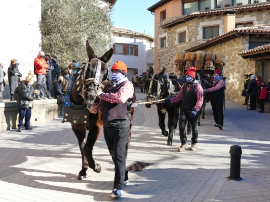 La Festa dels Tonis torna plenament a la normalitat, però amb menys animals