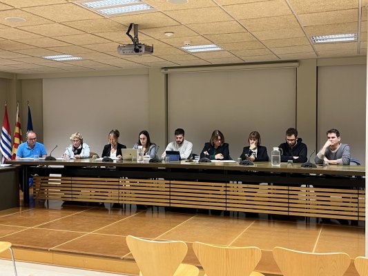 ÀUDIO i VÍDEO. Segueix el ple municipal d'aquest dijous