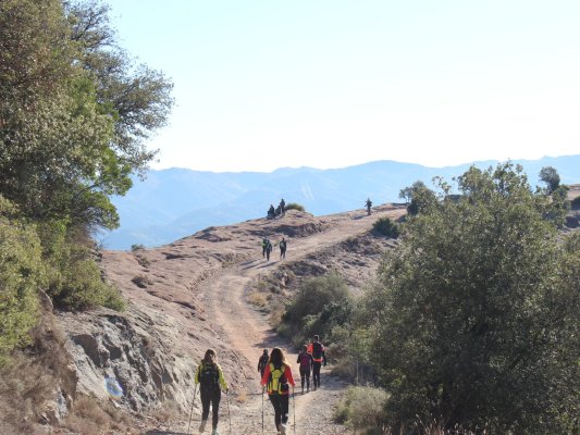 Un miler de participants afronten aquest diumenge els 43,5 km de la Rupit-Taradell Un miler de participants afronten aquest diumenge els 43,5 km de la Rupit-Taradell