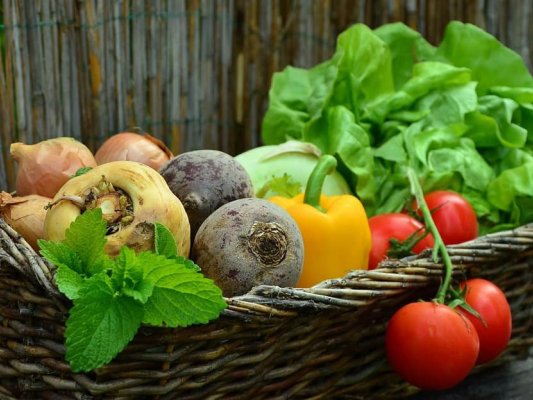 Dijous, es farà una xerrada sobre alimentació sana i sostenibilitat alimentària Dijous, es farà una xerrada sobre alimentació sana i sostenibilitat alimentària