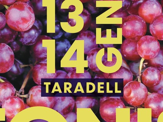 La Festa dels Tonis de Taradell 2024 reivindica el patrimoni rural