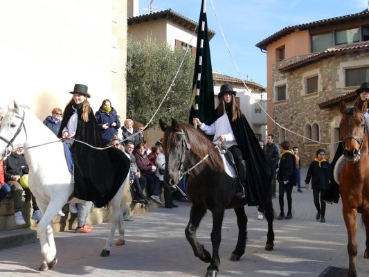 FOTOS, VÍDEO i ÀUDIO. Festa dels Tonis amb menys bestiar, però amb una aposta pel patrimoni