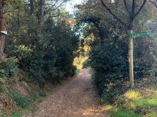 S’inicia l’arranjament de diversos camins forestals per la prevenció d'incendis