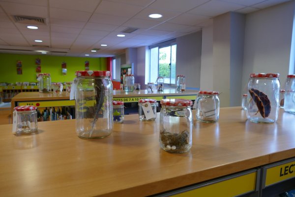 Exposició: '25+1 Imperdibles' a la sala Infantil Exposició: '25+1 Imperdibles' a la sala Infantil