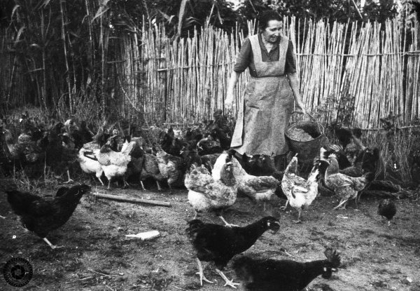 Tertúlia sobre 'La dona pagesa' a la Biblioteca